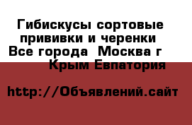 Гибискусы сортовые, прививки и черенки - Все города, Москва г.  »    . Крым,Евпатория